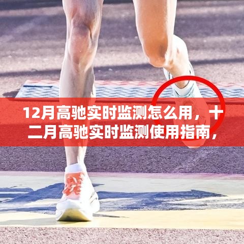高馳實時監(jiān)測使用指南，掌握十二月實時數(shù)據(jù)監(jiān)測技巧