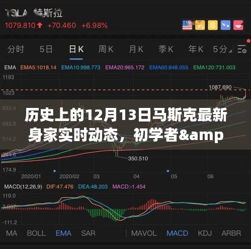 揭秘馬斯克最新身家動態(tài)，歷史上的12月13日追蹤詳解與初學(xué)者進階指南