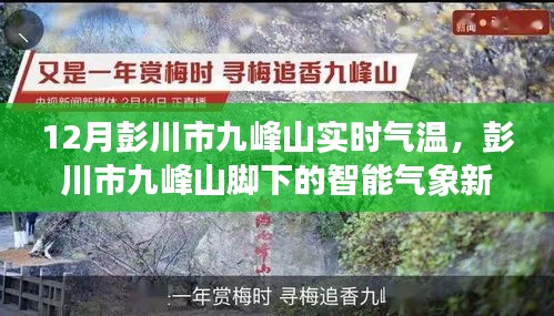 彭川市九峰山實(shí)時(shí)氣溫監(jiān)測(cè)，智能氣象新紀(jì)元引領(lǐng)生活新風(fēng)尚