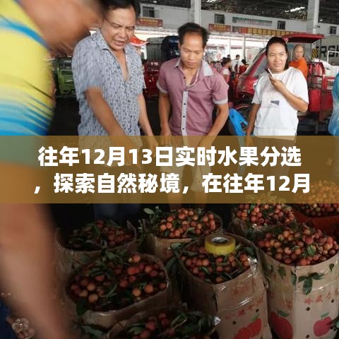 探索自然秘境，水果盛宴中的寧?kù)o與平和體驗(yàn)
