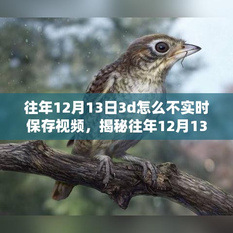 揭秘，為何往年12月13日3D技術(shù)未能實(shí)時(shí)保存視頻的背后真相