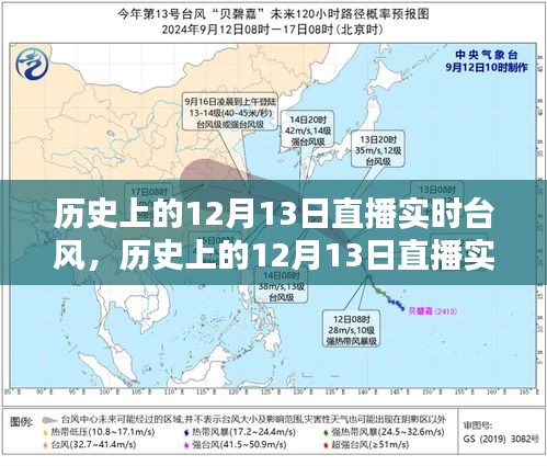 歷史上的12月13日直播實時臺風(fēng)，全面評測與詳細(xì)介紹
