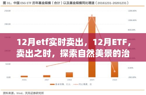 12月ETF實(shí)時賣出，探索自然美景的治愈之旅