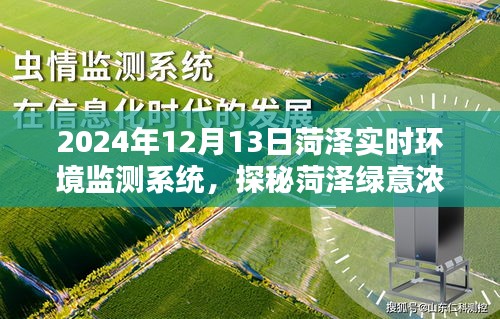 探秘菏澤綠意濃時，實時環(huán)境監(jiān)測系統(tǒng)邀您共賞自然之美