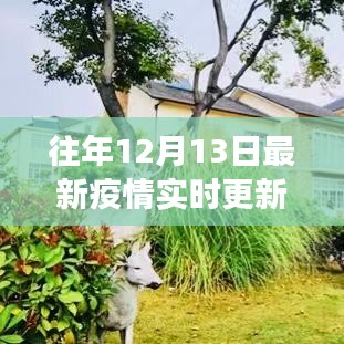 良渚疫情實時更新，科技助力重塑疫情防控新紀元