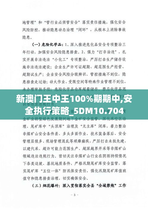 新澳門(mén)王中王100%期期中,安全執(zhí)行策略_5DM10.704