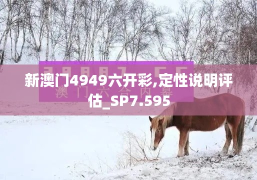 新澳門4949六開彩,定性說(shuō)明評(píng)估_SP7.595