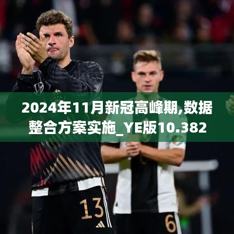 2024年11月新冠高峰期,數(shù)據(jù)整合方案實(shí)施_YE版10.382