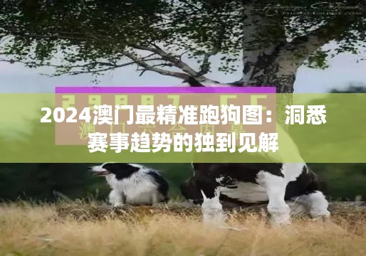 2024澳門最精準(zhǔn)跑狗圖：洞悉賽事趨勢的獨到見解