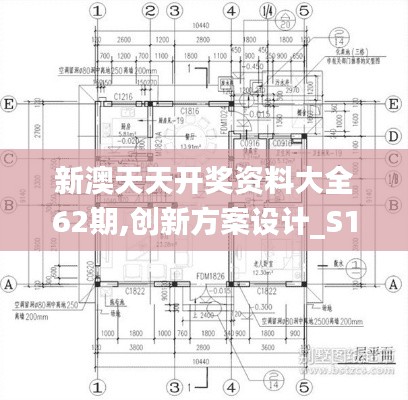新澳天天開獎資料大全62期,創(chuàng)新方案設(shè)計_S11.174