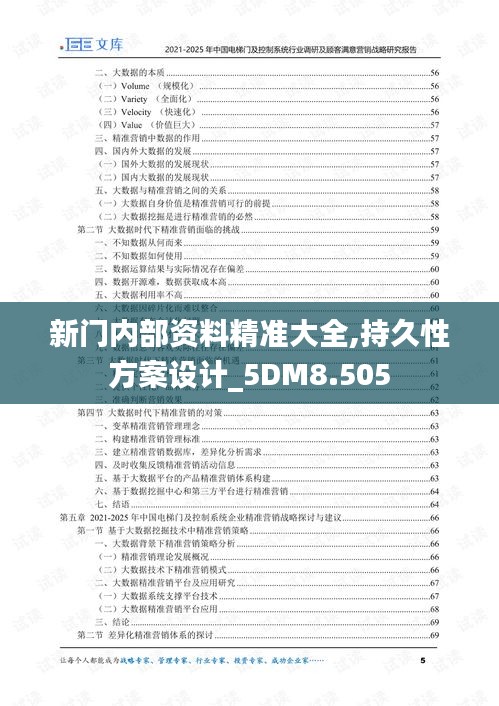 新門內(nèi)部資料精準大全,持久性方案設計_5DM8.505