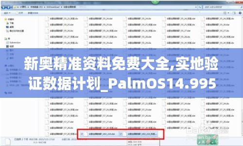 新奧精準(zhǔn)資料免費大全,實地驗證數(shù)據(jù)計劃_PalmOS14.995