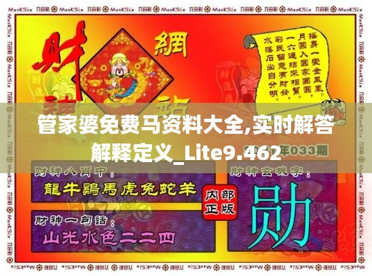 管家婆免費(fèi)馬資料大全,實(shí)時(shí)解答解釋定義_Lite9.462