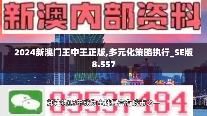 2024新澳門(mén)王中王正版,多元化策略執(zhí)行_SE版8.557