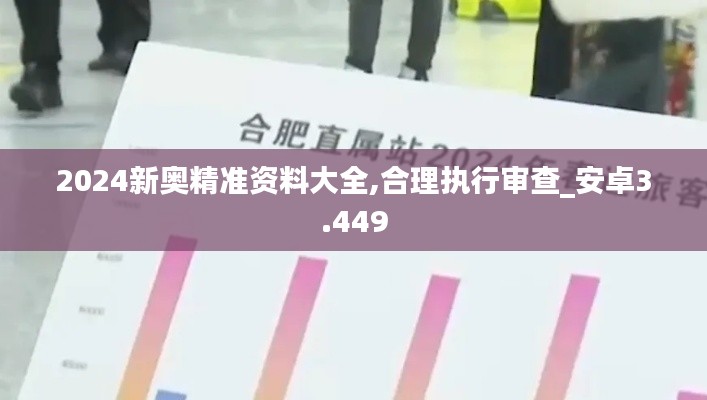 2024新奧精準(zhǔn)資料大全,合理執(zhí)行審查_安卓3.449