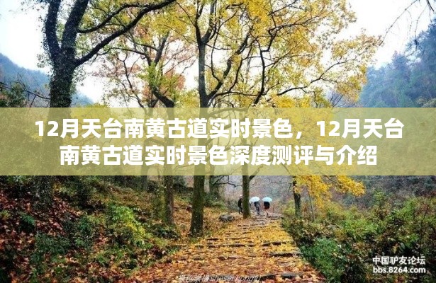 12月天臺南黃古道實時景色深度解析與美麗展現(xiàn)