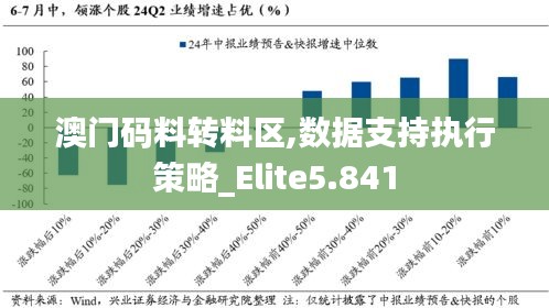 澳門碼料轉(zhuǎn)料區(qū),數(shù)據(jù)支持執(zhí)行策略_Elite5.841