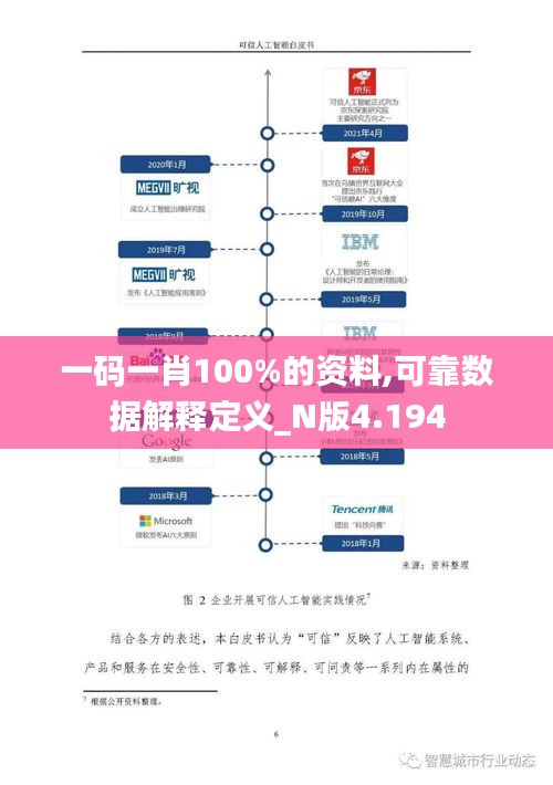 一碼一肖100%的資料,可靠數(shù)據(jù)解釋定義_N版4.194