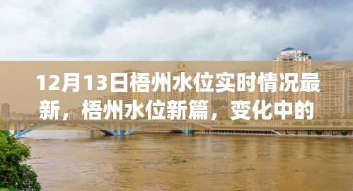 梧州水位實時更新，變化中的力量，學(xué)習(xí)與成就的自信之旅