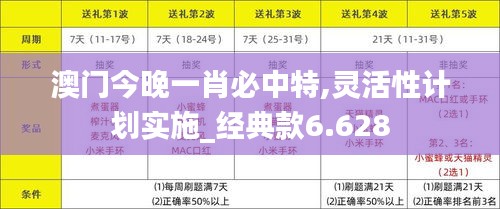 澳門今晚一肖必中特,靈活性計劃實(shí)施_經(jīng)典款6.628