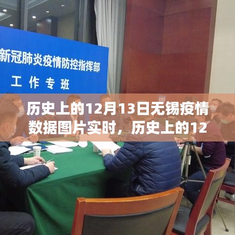 歷史上的12月13日無(wú)錫疫情數(shù)據(jù)深度解析，自然探索背后的真相揭秘