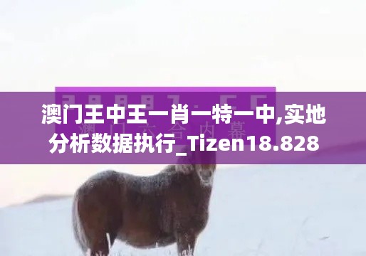 澳門(mén)王中王一肖一特一中,實(shí)地分析數(shù)據(jù)執(zhí)行_Tizen18.828