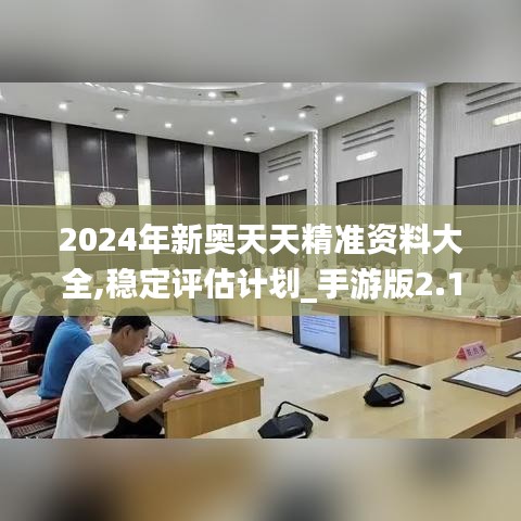 2024年新奧天天精準資料大全,穩(wěn)定評估計劃_手游版2.138