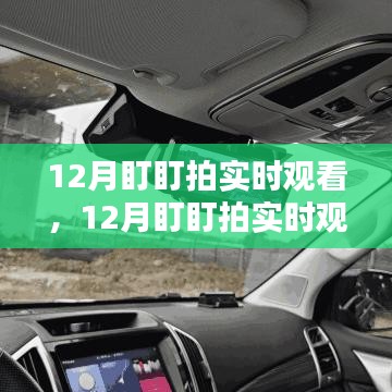 體驗(yàn)智能監(jiān)控的魅力，12月盯盯拍實(shí)時(shí)觀看