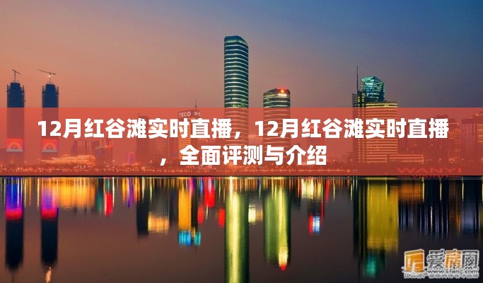 12月紅谷灘實(shí)時(shí)直播，全面評(píng)測(cè)與詳細(xì)介紹