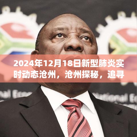 滄州新型肺炎實時動態(tài)與探尋自然美景之旅，擁抱寧靜微笑