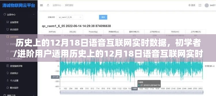 歷史上的12月18日語音互聯(lián)網(wǎng)實時數(shù)據(jù)探索指南，初學者與進階用戶適用