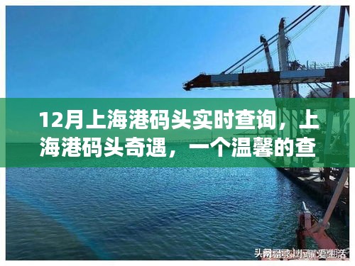 上海港碼頭奇遇，溫馨的查詢故事實(shí)時(shí)更新