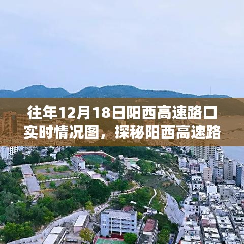 探秘陽西高速路口隱藏版特色小店，奇遇記與小巷深處的獨(dú)特風(fēng)味