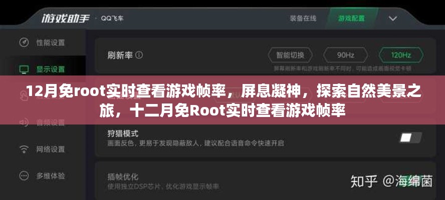 十二月免Root實時查看游戲幀率，屏息凝神，探索自然美景的游戲之旅