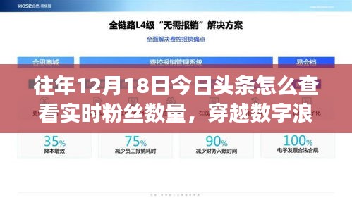 揭秘數(shù)字浪潮下的粉絲風(fēng)云，如何在十二月十八日實時查看今日頭條粉絲數(shù)量？