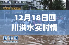 四川洪水退去后的寧靜美景，探索一次遠(yuǎn)離塵囂的心靈之旅（實(shí)時更新）