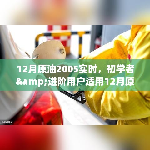 初學者與進階用戶指南，如何實時關注并洞察原油市場動態(tài)（2023年12月版）
