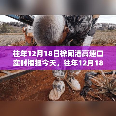 歷年12月18日徐聞港高速口實(shí)時(shí)播報(bào)，今日交通狀況分析與影響觀察