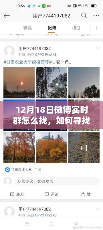 如何尋找12月18日微博實(shí)時群的方法指南