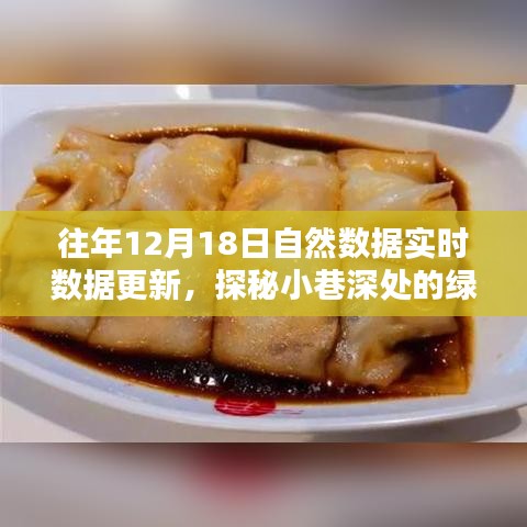 探秘綠色數(shù)據(jù)寶藏，特色小店與自然數(shù)據(jù)實(shí)時(shí)共舞，小巷深處的最新更新動(dòng)態(tài)