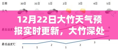 大竹天氣預(yù)報(bào)實(shí)時(shí)更新，聆聽(tīng)自然之聲，掌握天氣動(dòng)態(tài)