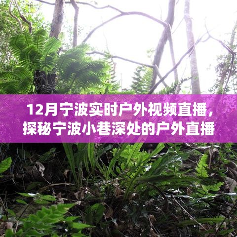 12月寧波戶外直播探秘，冬日風(fēng)情直播秀，小巷深處的秘境展示