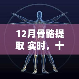 深度探究，十二月骨骼提取——?dú)v史背景、重大事件與領(lǐng)域地位實(shí)時(shí)解析