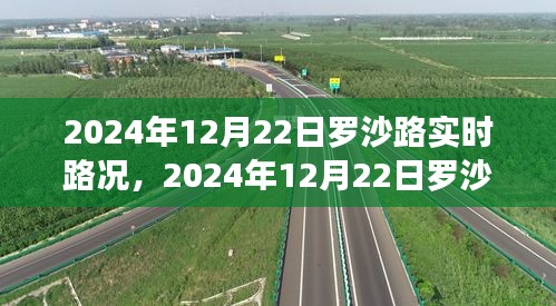 羅沙路實時路況導航指南，行車技巧從初學到進階