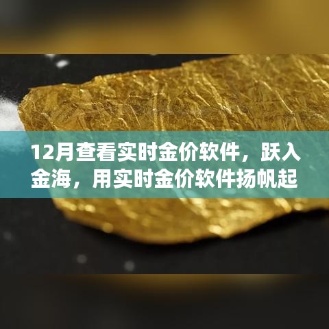 躍入金海，實(shí)時(shí)金價(jià)軟件助你揚(yáng)帆起航，金銀財(cái)富與自信人生的學(xué)習(xí)之旅