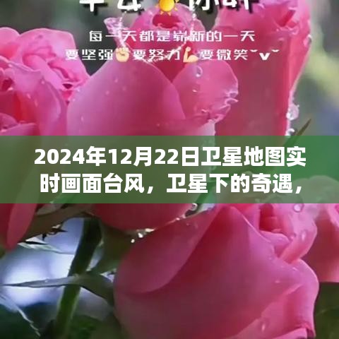 衛(wèi)星實時記錄，臺風(fēng)天里的暖心瞬間與衛(wèi)星下的奇遇