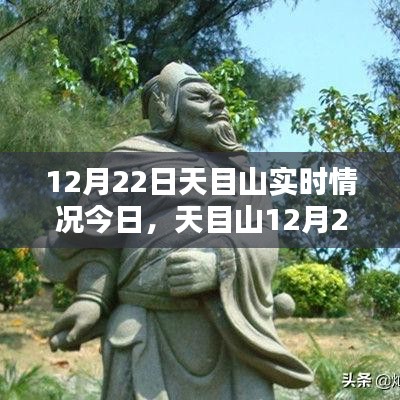 天目山12月22日實時情況探析，某某觀點下的深度闡述