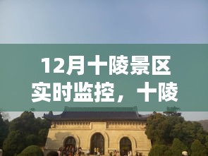 十陵景區(qū)12月實(shí)時(shí)監(jiān)控攻略，初學(xué)者與進(jìn)階用戶(hù)的全方位教程