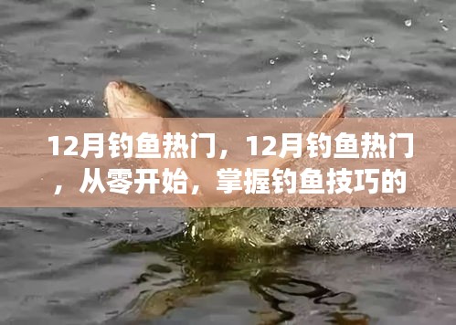 從零開始掌握釣魚技巧，12月釣魚熱門全攻略