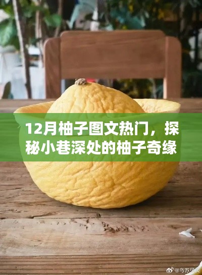 探秘柚子奇緣，隱藏版柚子主題小店的獨(dú)特魅力，12月柚子圖文熱門(mén)